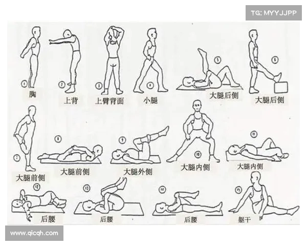 静态拉伸的重要性与正确方法解析促进身体柔韧性和预防运动损伤